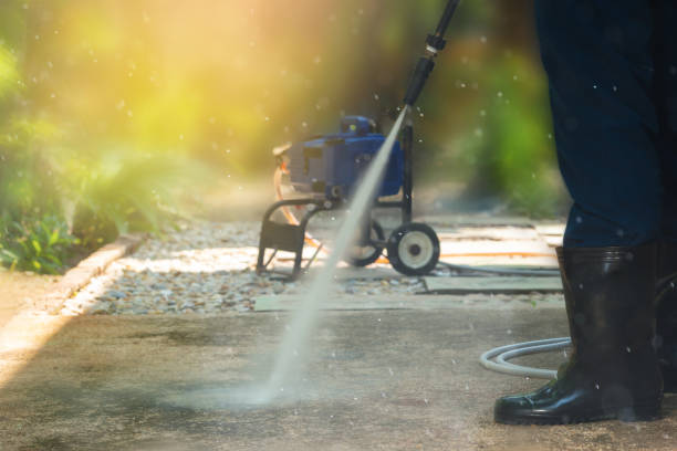 Best Solar Panel Cleaning  in Avilla, AR